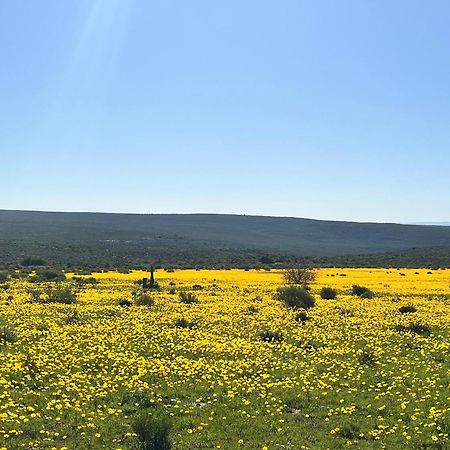 Вилла Simbavati Cederberg Ridge Клануильям Экстерьер фото