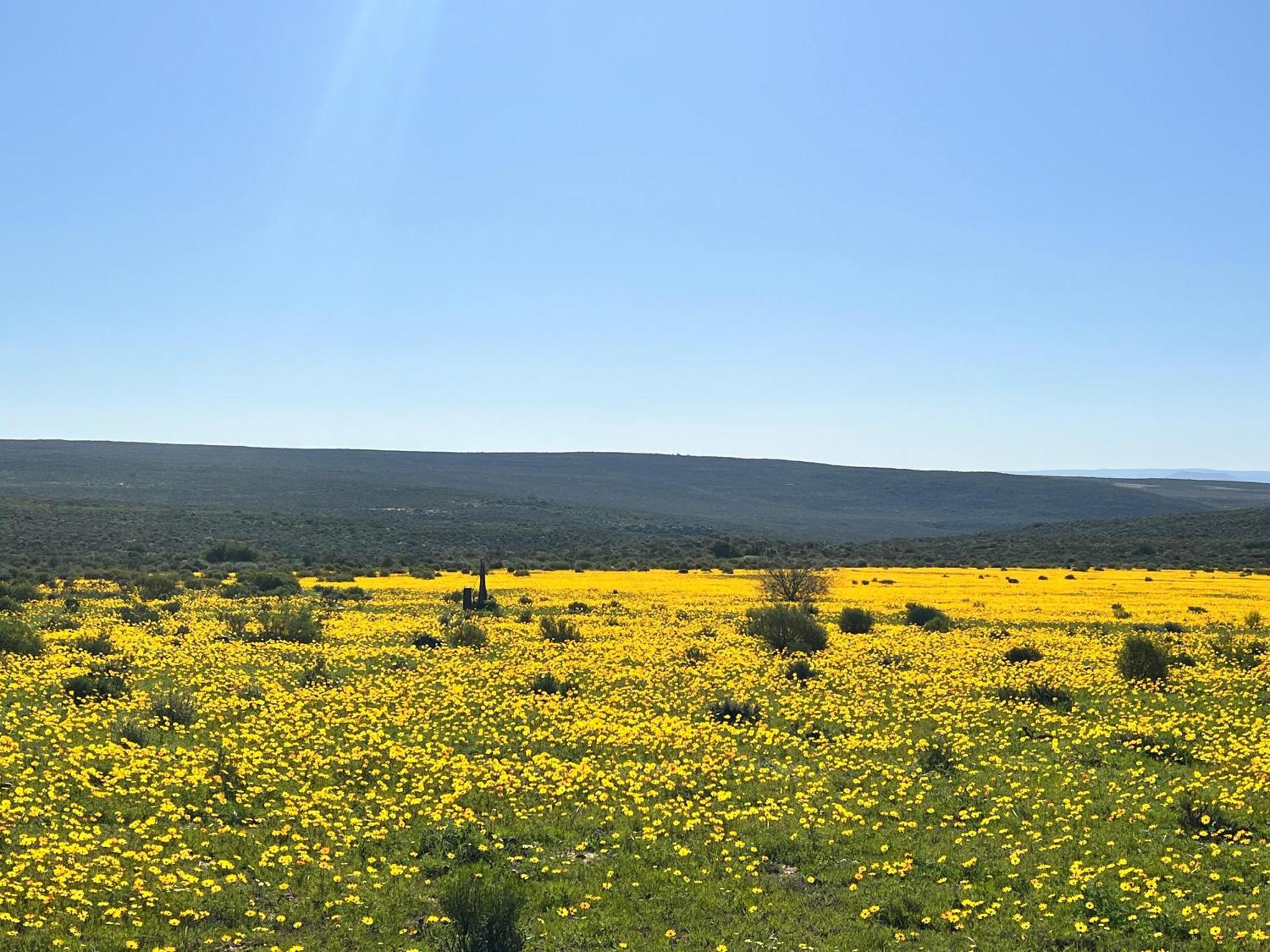 Вилла Simbavati Cederberg Ridge Клануильям Экстерьер фото